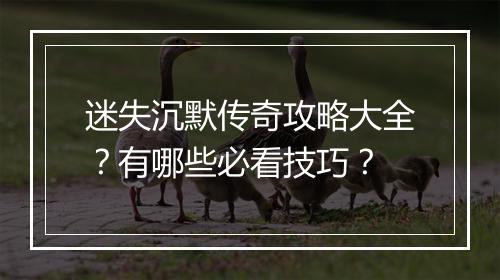迷失沉默传奇攻略大全？有哪些必看技巧？