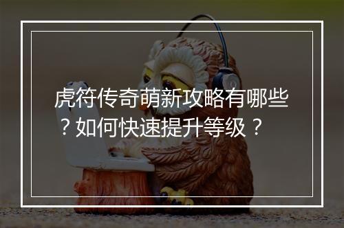 虎符传奇萌新攻略有哪些？如何快速提升等级？