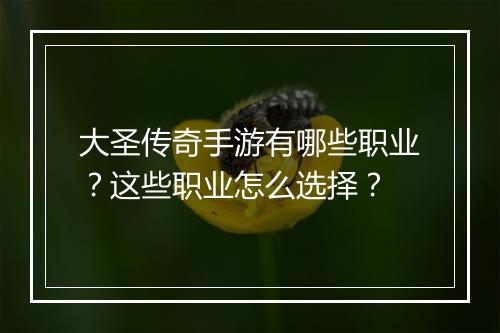 大圣传奇手游有哪些职业？这些职业怎么选择？