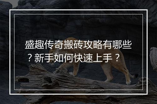 盛趣传奇搬砖攻略有哪些？新手如何快速上手？