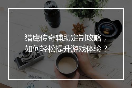 猎鹰传奇辅助定制攻略，如何轻松提升游戏体验？