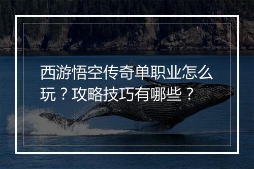 西游悟空传奇单职业怎么玩？攻略技巧有哪些？