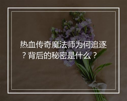 热血传奇魔法师为何追逐？背后的秘密是什么？