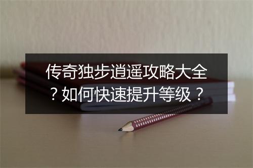 传奇独步逍遥攻略大全？如何快速提升等级？