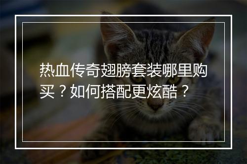 热血传奇翅膀套装哪里购买？如何搭配更炫酷？
