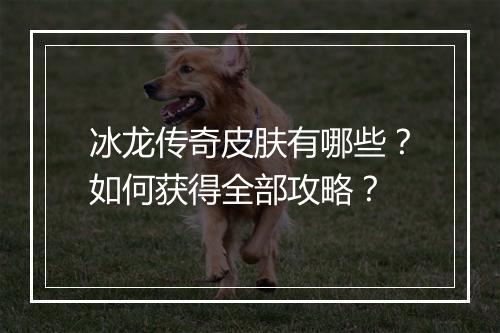 冰龙传奇皮肤有哪些？如何获得全部攻略？