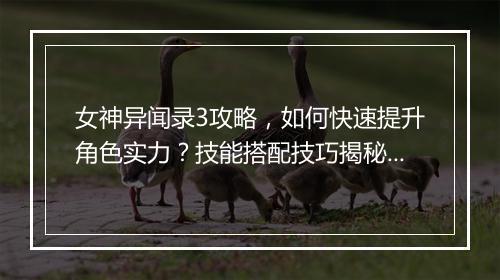 女神异闻录3攻略，如何快速提升角色实力？技能搭配技巧揭秘！