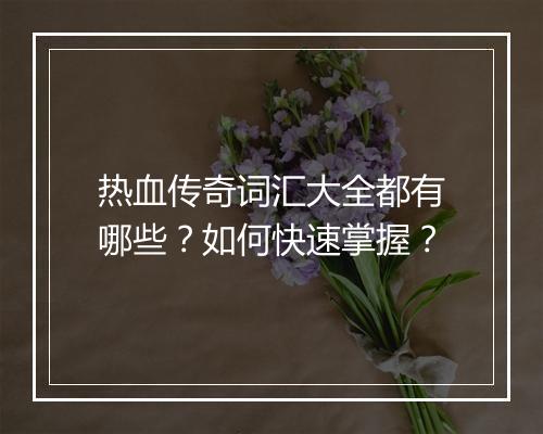 热血传奇词汇大全都有哪些？如何快速掌握？