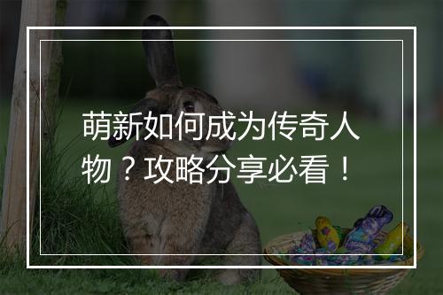 萌新如何成为传奇人物？攻略分享必看！