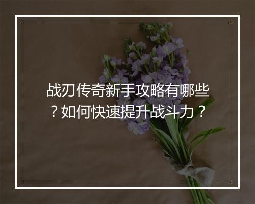战刃传奇新手攻略有哪些？如何快速提升战斗力？