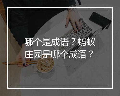 哪个是成语？蚂蚁庄园是哪个成语？
