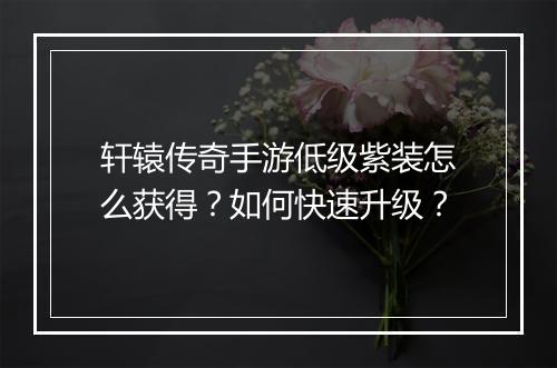 轩辕传奇手游低级紫装怎么获得？如何快速升级？
