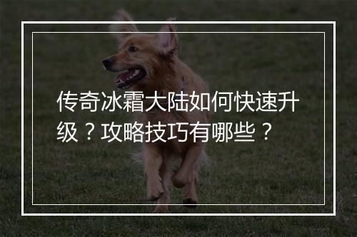 传奇冰霜大陆如何快速升级？攻略技巧有哪些？