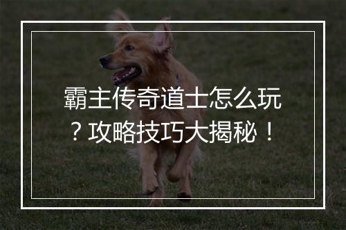 霸主传奇道士怎么玩？攻略技巧大揭秘！