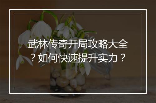 武林传奇开局攻略大全？如何快速提升实力？