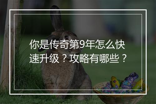 你是传奇第9年怎么快速升级？攻略有哪些？