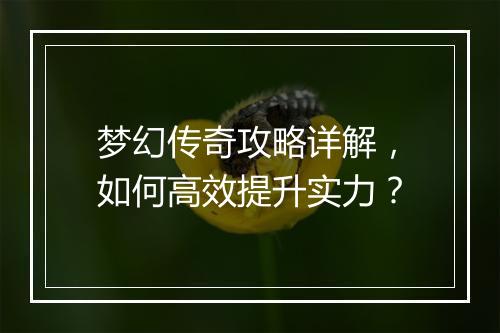 梦幻传奇攻略详解，如何高效提升实力？