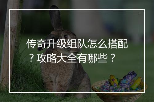 传奇升级组队怎么搭配？攻略大全有哪些？