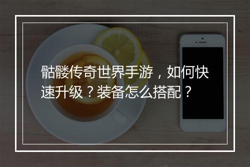 骷髅传奇世界手游，如何快速升级？装备怎么搭配？