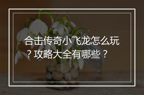 合击传奇小飞龙怎么玩？攻略大全有哪些？