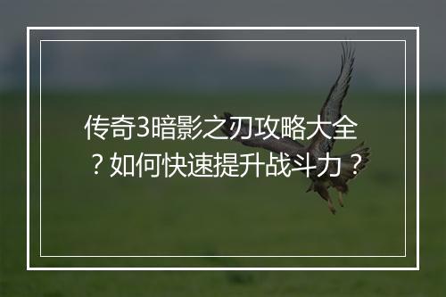 传奇3暗影之刃攻略大全？如何快速提升战斗力？
