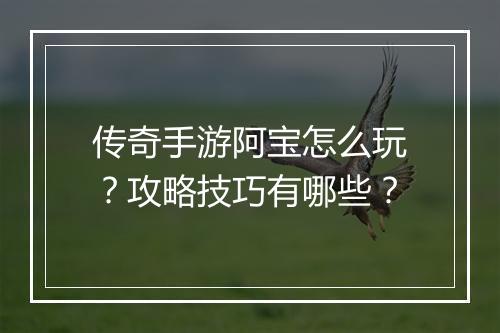 传奇手游阿宝怎么玩？攻略技巧有哪些？