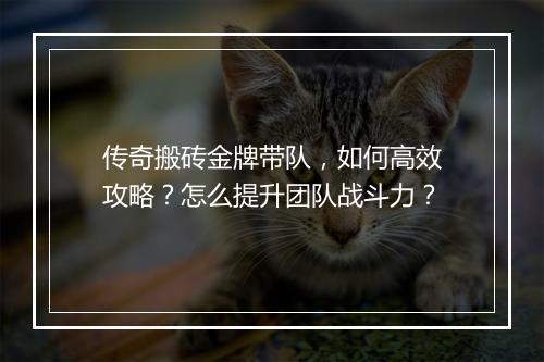 传奇搬砖金牌带队，如何高效攻略？怎么提升团队战斗力？