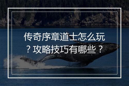 传奇序章道士怎么玩？攻略技巧有哪些？