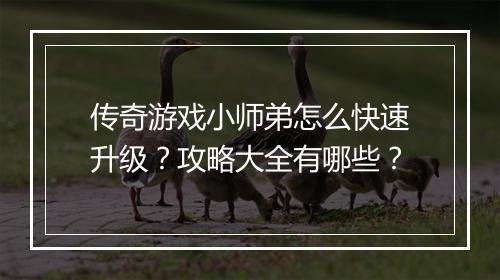 传奇游戏小师弟怎么快速升级？攻略大全有哪些？