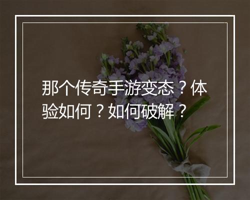 那个传奇手游变态？体验如何？如何破解？