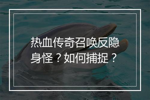 热血传奇召唤反隐身怪？如何捕捉？