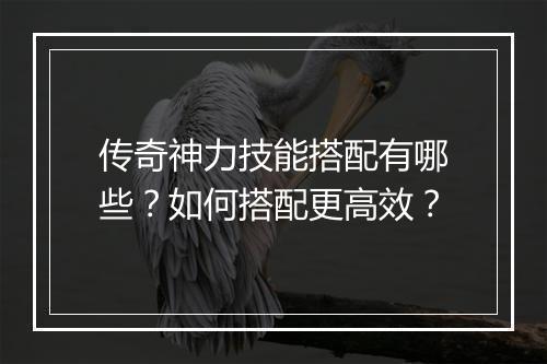 传奇神力技能搭配有哪些？如何搭配更高效？