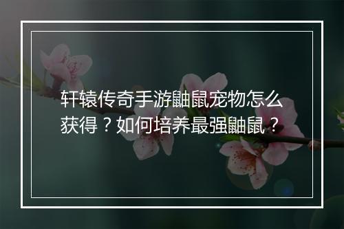 轩辕传奇手游鼬鼠宠物怎么获得？如何培养最强鼬鼠？