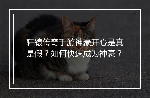 轩辕传奇手游神豪开心是真是假？如何快速成为神豪？