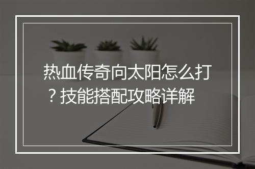 热血传奇向太阳怎么打？技能搭配攻略详解