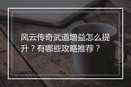 风云传奇武道增益怎么提升？有哪些攻略推荐？