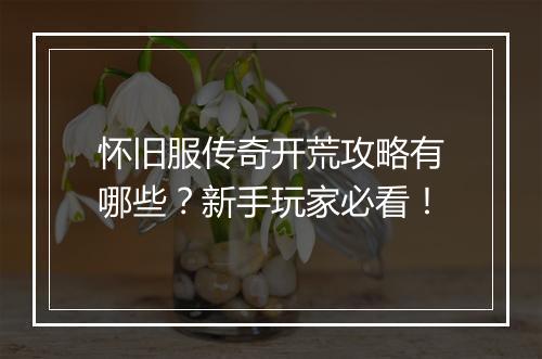 怀旧服传奇开荒攻略有哪些？新手玩家必看！