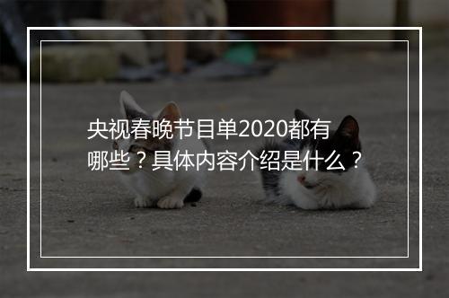 央视春晚节目单2020都有哪些？具体内容介绍是什么？