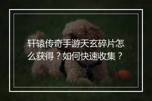 轩辕传奇手游天玄碎片怎么获得？如何快速收集？