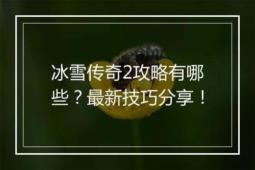 冰雪传奇2攻略有哪些？最新技巧分享！