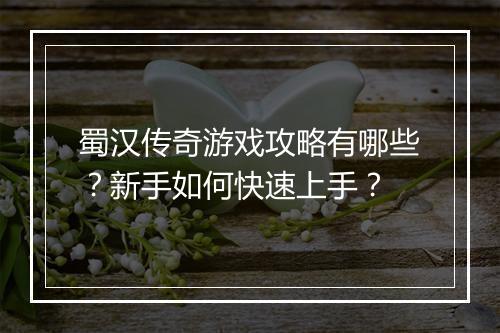 蜀汉传奇游戏攻略有哪些？新手如何快速上手？