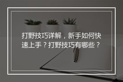 打野技巧详解，新手如何快速上手？打野技巧有哪些？