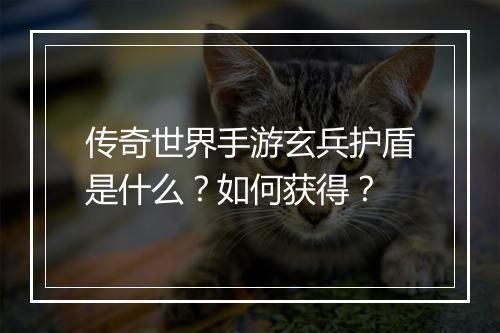 传奇世界手游玄兵护盾是什么？如何获得？