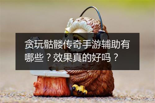 贪玩骷髅传奇手游辅助有哪些？效果真的好吗？