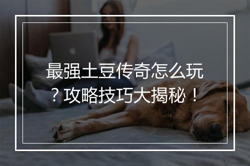 最强土豆传奇怎么玩？攻略技巧大揭秘！