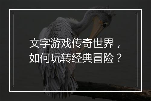 文字游戏传奇世界，如何玩转经典冒险？