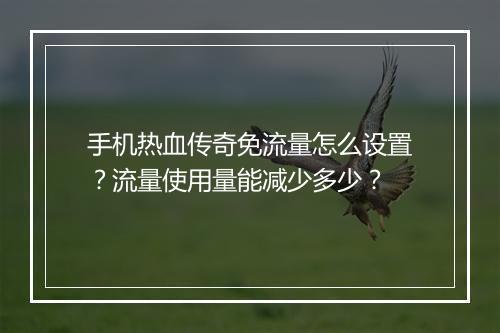 手机热血传奇免流量怎么设置？流量使用量能减少多少？