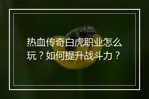 热血传奇白虎职业怎么玩？如何提升战斗力？