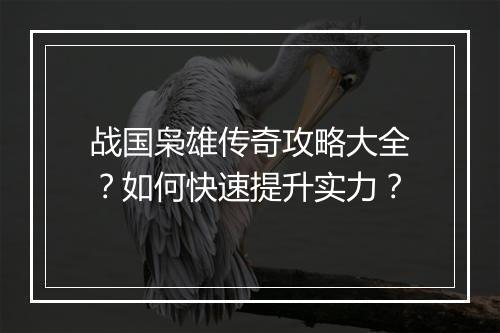 战国枭雄传奇攻略大全？如何快速提升实力？
