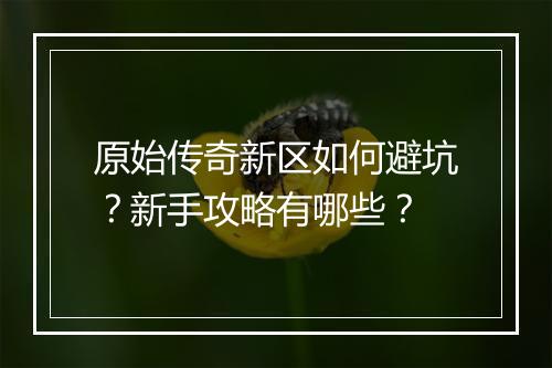 原始传奇新区如何避坑？新手攻略有哪些？